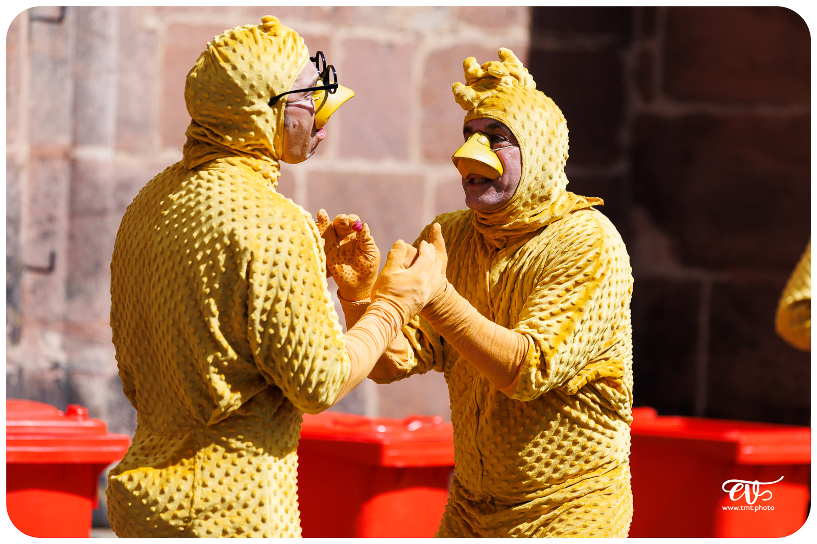 UN POUR TOUS TOUS POUSSIN ! - LES ARTS PITRES